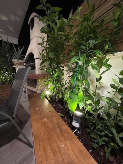 Acropolis Lux Apartment Афіни Екстер'єр фото